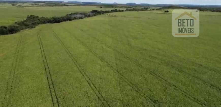 Fazenda à venda p/ Plantio de Grãos 4.032 hectares com toda infraestrutura | Aparecida do Rio Negro – TO