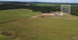 Fazenda à venda p/ Plantio de Grãos 4.032 hectares com toda infraestrutura | Aparecida do Rio Negro – TO