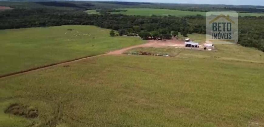Fazenda à venda p/ Plantio de Grãos 4.032 hectares com toda infraestrutura | Aparecida do Rio Negro – TO