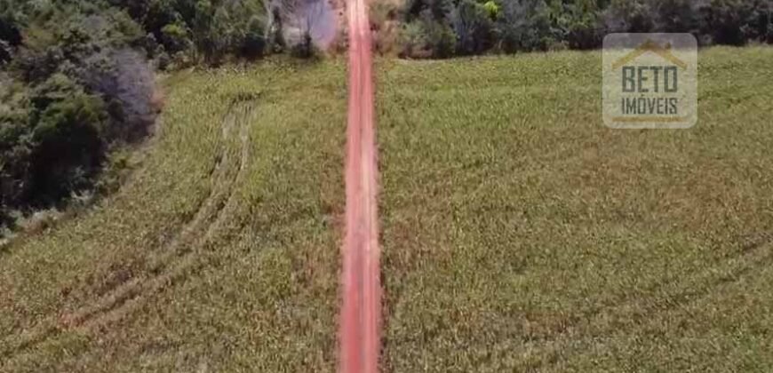 Fazenda à venda p/ Plantio de Grãos 4.032 hectares com toda infraestrutura | Aparecida do Rio Negro – TO