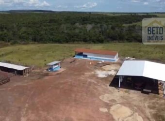 Fazenda à venda p/ Plantio de Grãos 4.032 hectares com toda infraestrutura | Aparecida do Rio Negro – TO Fazenda à venda p/ Plantio de Grãos 4.032 hectares com toda infraestrutura | Aparecida do Rio Negro – TO
