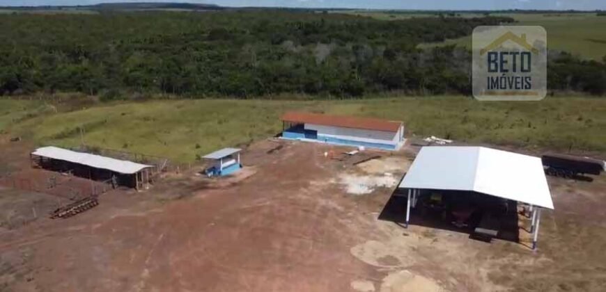 Fazenda à venda p/ Plantio de Grãos 4.032 hectares com toda infraestrutura | Aparecida do Rio Negro – TO