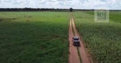 Fazenda à venda p/ Plantio de Grãos 4.032 hectares com toda infraestrutura | Aparecida do Rio Negro – TO