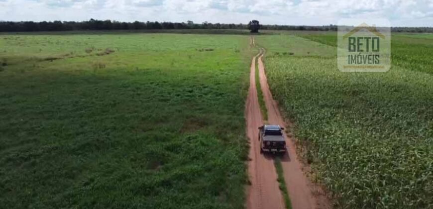 Fazenda à venda p/ Plantio de Grãos 4.032 hectares com toda infraestrutura | Aparecida do Rio Negro – TO