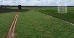 Fazenda à venda p/ Plantio de Grãos 4.032 hectares com toda infraestrutura | Aparecida do Rio Negro – TO