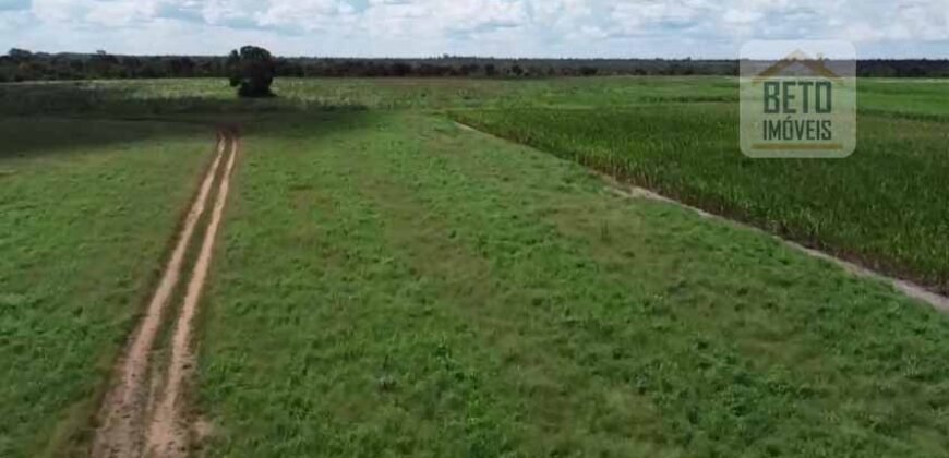 Fazenda à venda p/ Plantio de Grãos 4.032 hectares com toda infraestrutura | Aparecida do Rio Negro – TO