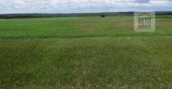 Fazenda à venda p/ Plantio de Grãos 4.032 hectares com toda infraestrutura | Aparecida do Rio Negro – TO