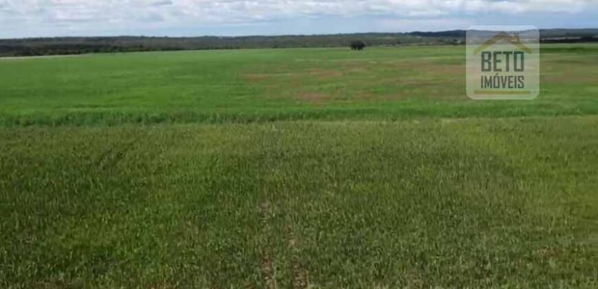 Fazenda à venda p/ Plantio de Grãos 4.032 hectares com toda infraestrutura | Aparecida do Rio Negro – TO