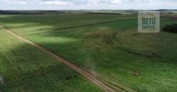 Fazenda à venda p/ Plantio de Grãos 4.032 hectares com toda infraestrutura | Aparecida do Rio Negro – TO