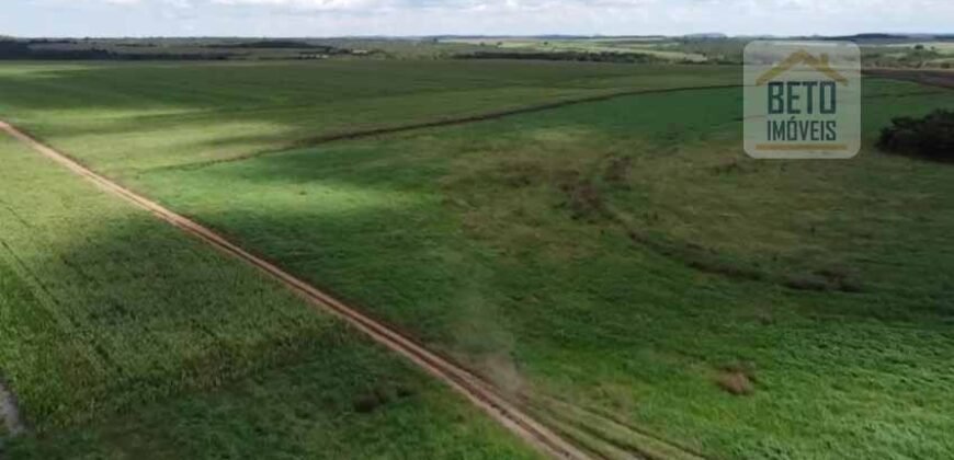 Fazenda à venda p/ Plantio de Grãos 4.032 hectares com toda infraestrutura | Aparecida do Rio Negro – TO
