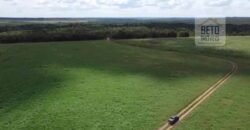 Fazenda à venda p/ Plantio de Grãos 4.032 hectares com toda infraestrutura | Aparecida do Rio Negro – TO