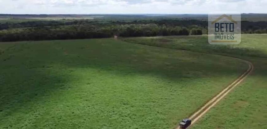 Fazenda à venda p/ Plantio de Grãos 4.032 hectares com toda infraestrutura | Aparecida do Rio Negro – TO