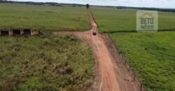 Fazenda à venda p/ Plantio de Grãos 4.032 hectares com toda infraestrutura | Aparecida do Rio Negro – TO
