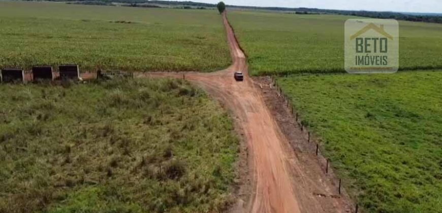 Fazenda à venda p/ Plantio de Grãos 4.032 hectares com toda infraestrutura | Aparecida do Rio Negro – TO