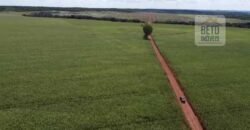 Fazenda à venda p/ Plantio de Grãos 4.032 hectares com toda infraestrutura | Aparecida do Rio Negro – TO