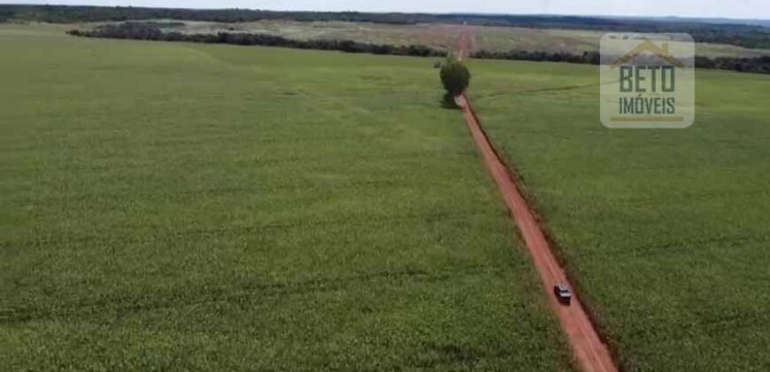 Fazenda à venda p/ Plantio de Grãos 4.032 hectares com toda infraestrutura | Aparecida do Rio Negro – TO