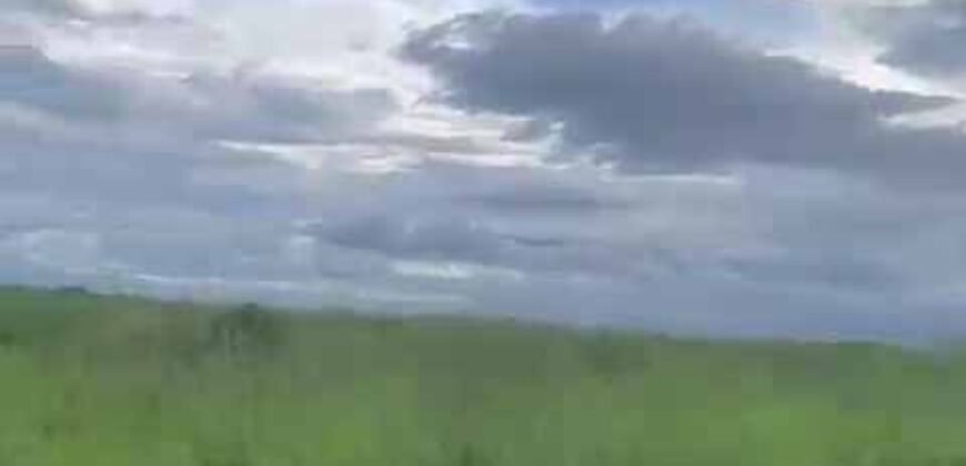 Excelente Fazenda de pecuária com aptidão pra agricultura | Região de barra do Garça/ MT