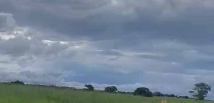 Excelente Fazenda de pecuária com aptidão pra agricultura | Região de barra do Garça/ MT