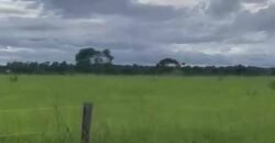 Excelente Fazenda de pecuária com aptidão pra agricultura | Região de barra do Garça/ MT