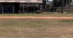 Excelente Fazenda de pecuária com aptidão pra agricultura | Região de barra do Garça/ MT