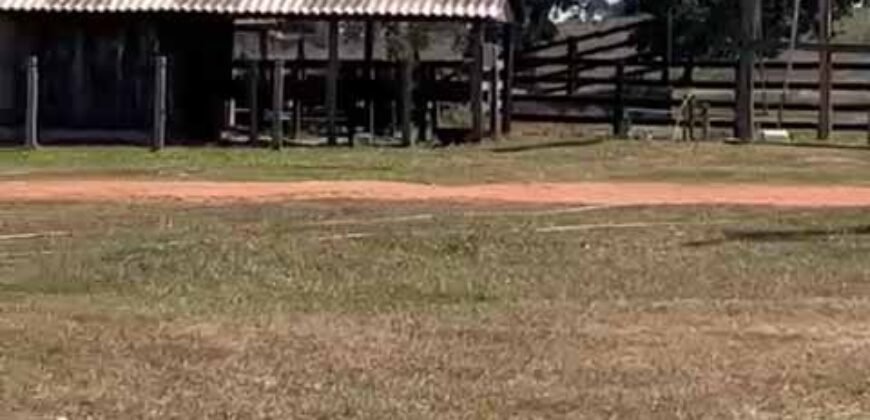 Excelente Fazenda de pecuária com aptidão pra agricultura | Região de barra do Garça/ MT