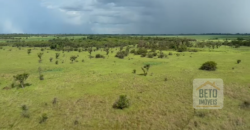 Fazenda à Venda com 60 mil hetcaters toda cercada, beira Rio Paraguai | Cáceres/ MT