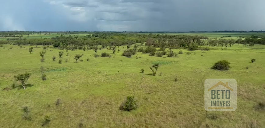 Fazenda à Venda com 60 mil hetcaters toda cercada, beira Rio Paraguai | Cáceres/ MT