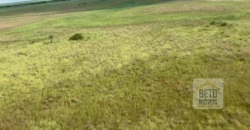 Fazenda à Venda com 60 mil hetcaters toda cercada, beira Rio Paraguai | Cáceres/ MT