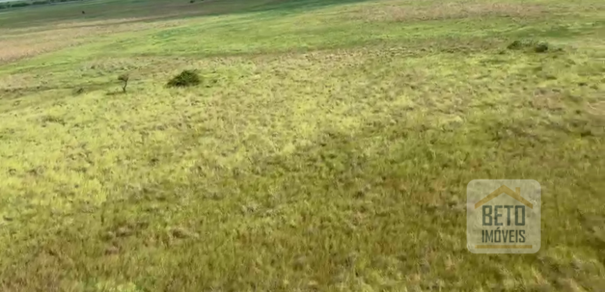 Fazenda à Venda com 60 mil hetcaters toda cercada, beira Rio Paraguai | Cáceres/ MT