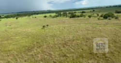 Fazenda à Venda com 60 mil hetcaters toda cercada, beira Rio Paraguai | Cáceres/ MT