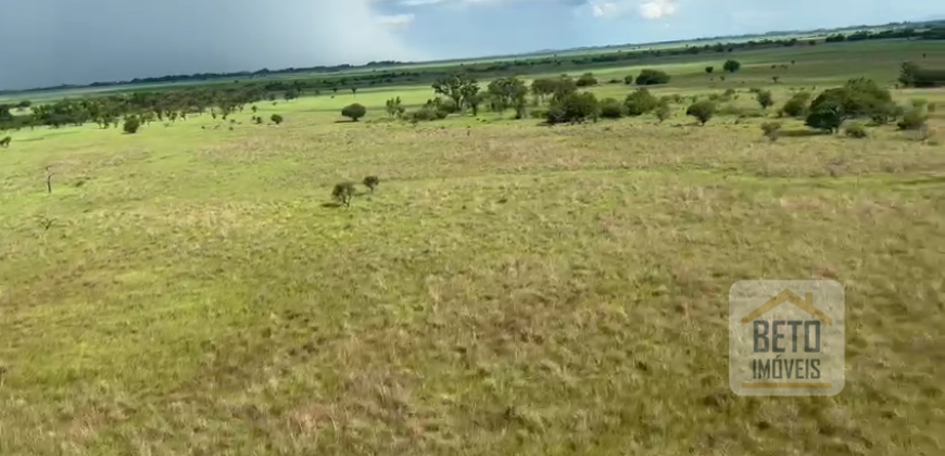 Fazenda à Venda com 60 mil hetcaters toda cercada, beira Rio Paraguai | Cáceres/ MT