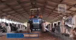 Fazenda c/ Barragens, Pastos e Lavouras Total de 2300 hectares | Araxá/ MG Fazenda c/ Barragens, Pastos e Lavouras Total de 2300 hectares | Araxá/ MG