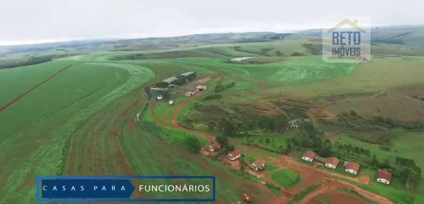 Fazenda c/ Barragens, Pastos e Lavouras Total de 2300 hectares | Araxá/ MG Fazenda c/ Barragens, Pastos e Lavouras Total de 2300 hectares | Araxá/ MG