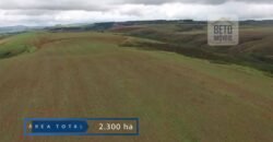 Fazenda c/ Barragens, Pastos e Lavouras Total de 2300 hectares | Araxá/ MG Fazenda c/ Barragens, Pastos e Lavouras Total de 2300 hectares | Araxá/ MG