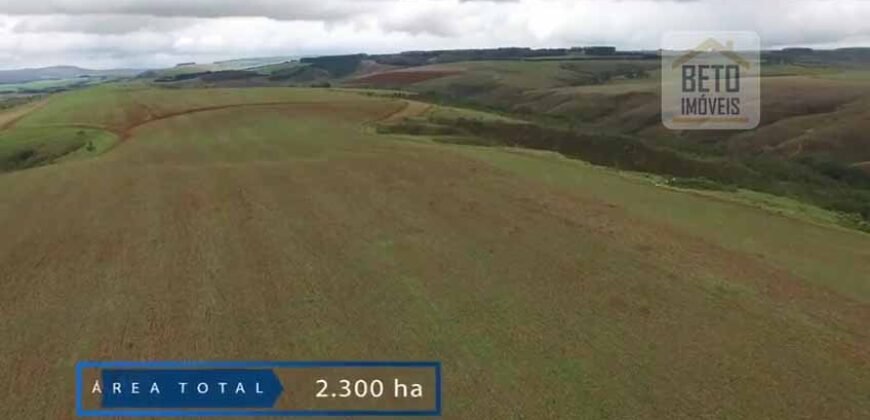 Fazenda c/ Barragens, Pastos e Lavouras Total de 2300 hectares | Araxá/ MG Fazenda c/ Barragens, Pastos e Lavouras Total de 2300 hectares | Araxá/ MG
