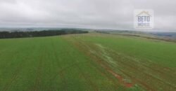 Fazenda c/ Barragens, Pastos e Lavouras Total de 2300 hectares | Araxá/ MG Fazenda c/ Barragens, Pastos e Lavouras Total de 2300 hectares | Araxá/ MG