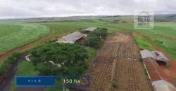 Fazenda c/ Barragens, Pastos e Lavouras Total de 2300 hectares | Araxá/ MG Fazenda c/ Barragens, Pastos e Lavouras Total de 2300 hectares | Araxá/ MG