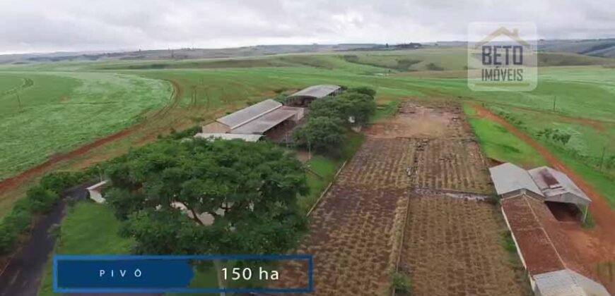 Fazenda c/ Barragens, Pastos e Lavouras Total de 2300 hectares | Araxá/ MG Fazenda c/ Barragens, Pastos e Lavouras Total de 2300 hectares | Araxá/ MG