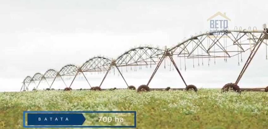 Fazenda c/ Barragens, Pastos e Lavouras Total de 2300 hectares | Araxá/ MG Fazenda c/ Barragens, Pastos e Lavouras Total de 2300 hectares | Araxá/ MG