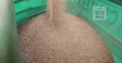 Fazenda c/ Barragens, Pastos e Lavouras Total de 2300 hectares | Araxá/ MG Fazenda c/ Barragens, Pastos e Lavouras Total de 2300 hectares | Araxá/ MG