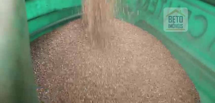 Fazenda c/ Barragens, Pastos e Lavouras Total de 2300 hectares | Araxá/ MG Fazenda c/ Barragens, Pastos e Lavouras Total de 2300 hectares | Araxá/ MG