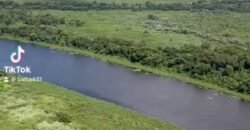 Fazenda à Venda com 60 mil hetcaters toda cercada, beira Rio Paraguai | Cáceres/ MT