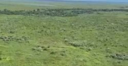 Fazenda à Venda com 60 mil hetcaters toda cercada, beira Rio Paraguai | Cáceres/ MT