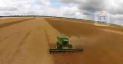 Fazenda TOP Produtiva Lavoura Pasto 46.623 hectares e Pista de Pouso | Paragominas/ PA