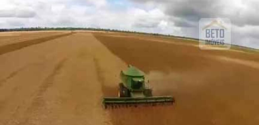 Fazenda TOP Produtiva Lavoura Pasto 46.623 hectares e Pista de Pouso | Paragominas/ PA