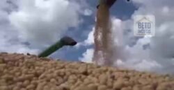 Fazenda TOP Produtiva Lavoura Pasto 46.623 hectares e Pista de Pouso | Paragominas/ PA