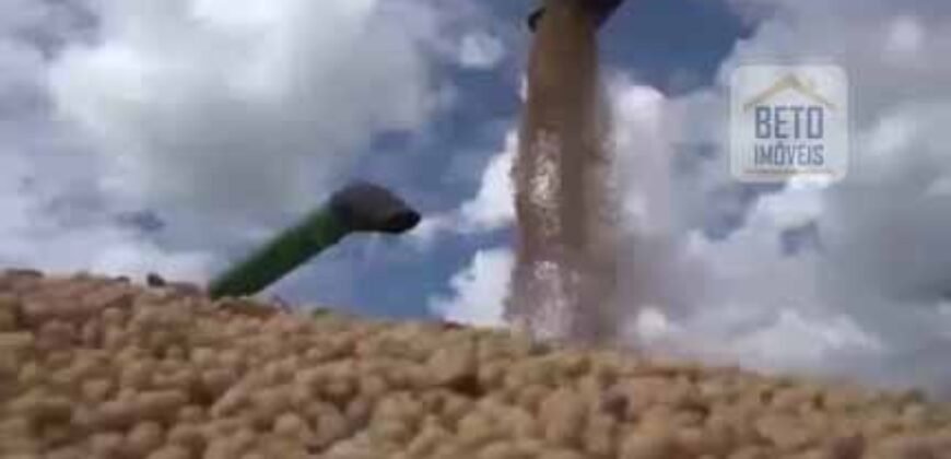 Fazenda TOP Produtiva Lavoura Pasto 46.623 hectares e Pista de Pouso | Paragominas/ PA