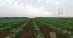 Fazenda TOP Produtiva Lavoura Pasto 46.623 hectares e Pista de Pouso | Paragominas/ PA