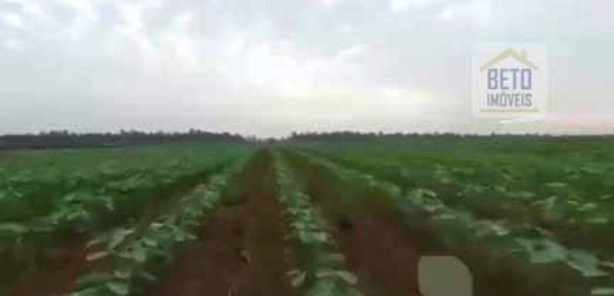 Fazenda TOP Produtiva Lavoura Pasto 46.623 hectares e Pista de Pouso | Paragominas/ PA