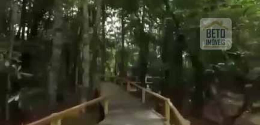 Fazenda TOP Produtiva Lavoura Pasto 46.623 hectares e Pista de Pouso | Paragominas/ PA